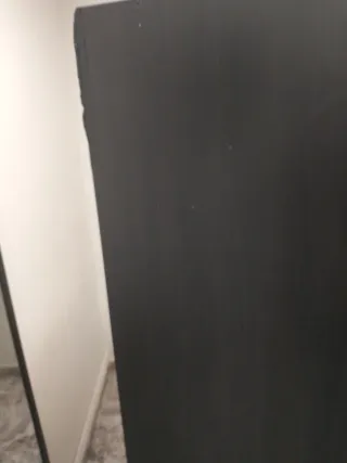 Armario Rakkestad IKEA 2 puertas