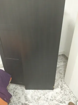 Armario Rakkestad IKEA 2 puertas