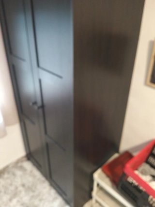 Armario Rakkestad IKEA 2 puertas