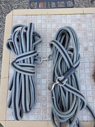 Cuerdas largas para entrenar caballos