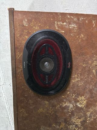 Altavoces Sony con cableado