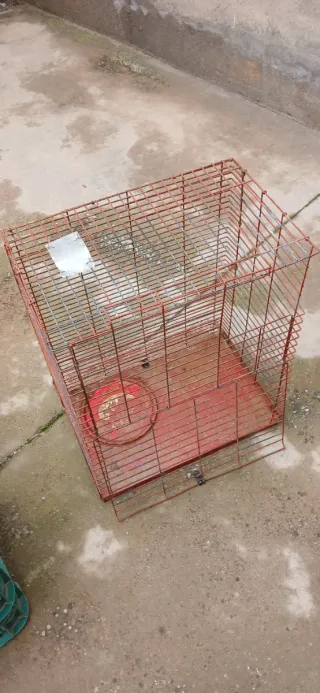 Jaulas metálicas y comederos para animales