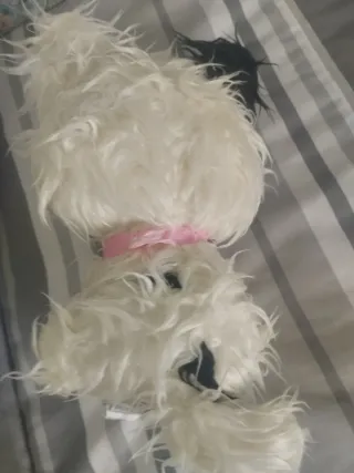 Lote 4 peluches: 3 perros y 1 gato