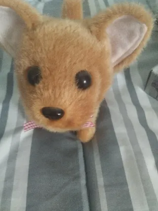 Lote 4 peluches: 3 perros y 1 gato