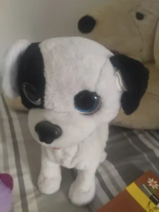 Lote 4 peluches: 3 perros y 1 gato