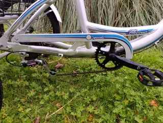 Triciclo para adultos con doble cesta