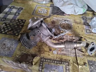 Válvula EGR Seat Ibiza