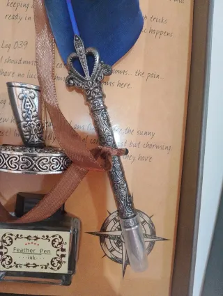 Pluma estilográfica de pluma de ave