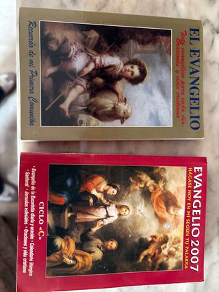 Evangelio 2007 (Letra Grande) (Libros Varios) (...