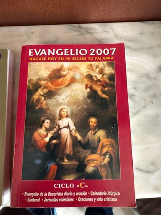 Evangelio 2007 (Letra Grande) (Libros Varios) (...
