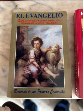 Evangelio 2007 (Letra Grande) (Libros Varios) (...