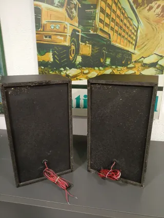 Altavoces HiFi Sony 55W