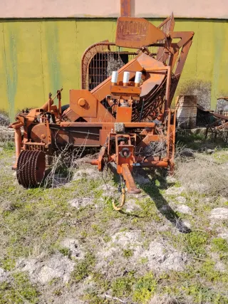 Cosechadora remolacha Madin