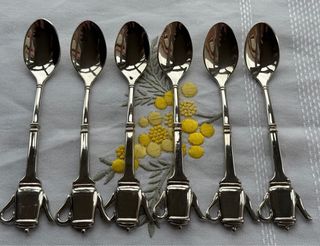 Set de 6 Cucharillas alpaca