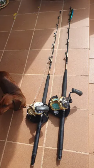 Equipos Shimano tiagra 30 lrs