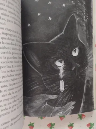 El cuarzo misterioso