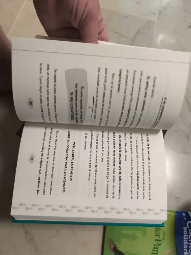 Lote El diario de Elisa  el misterio de la academ