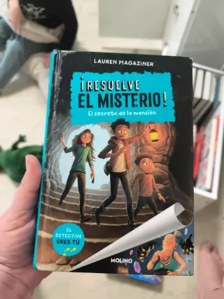 Lote El diario de Elisa  el misterio de la academ
