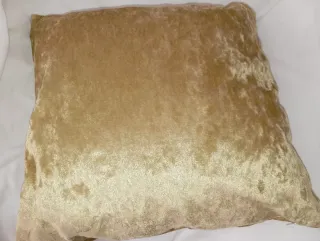 2 Cojines Terciopelo Champagne