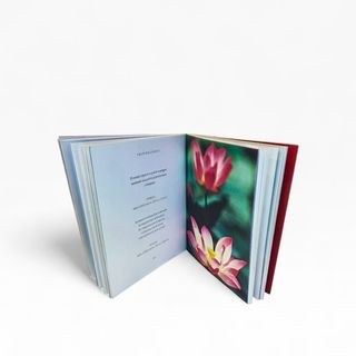 Yoga ejercicios e inspiraciones para tu bienestar