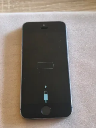 Apple iPhone 5S Argento