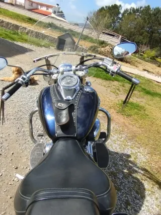 Suzuki Intruder 800cc