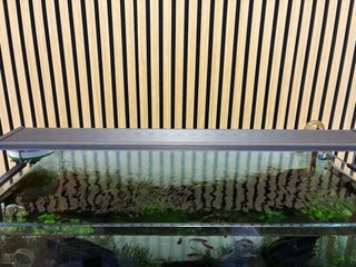 Acuario óptico 90p(200 litros)