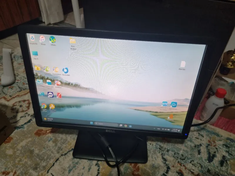 Pantalla Dell 19 Monitor