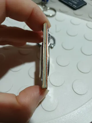 Porta-Chaves Vintage Leão Lenticular