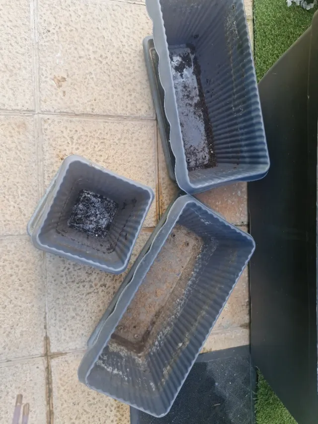 Chollo Conjunto 2 jardineras y 1 tiesto y sus 3 pl