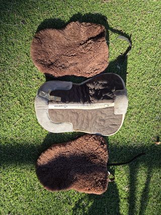 Salvadorsos y Salvacruces Marrones