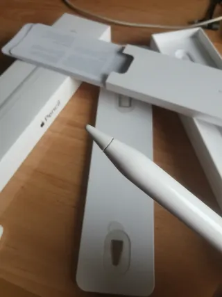 Apple Pencil 1ª Gen