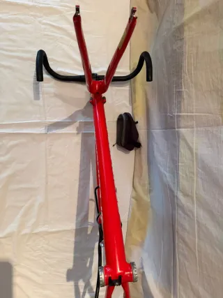 Cuadro Specialized Allez Pro World Champion FACT