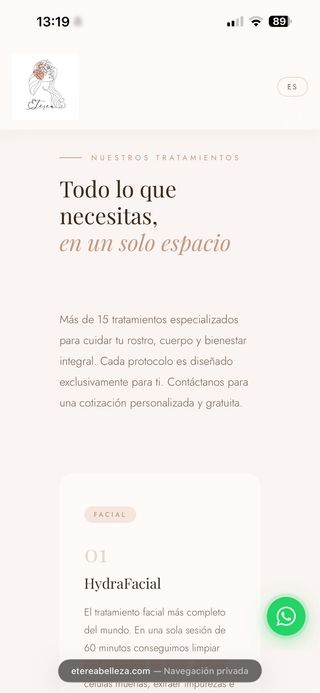 Creación de páginas web profesionales.