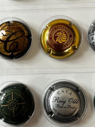 Lote de 12 chapas de Cava