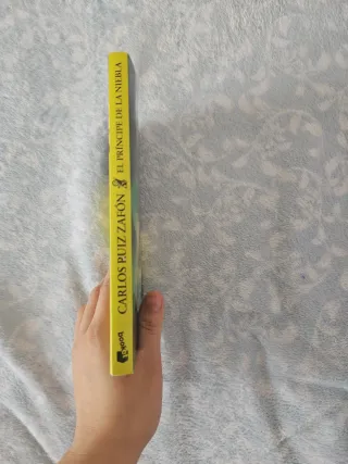 El Príncipe de la Niebla (Spanish Edition)