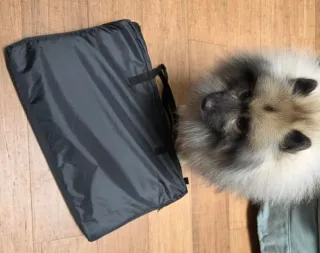 Seggiolino auto per cani taglia media/grande