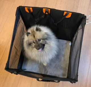 Seggiolino auto per cani taglia media/grande