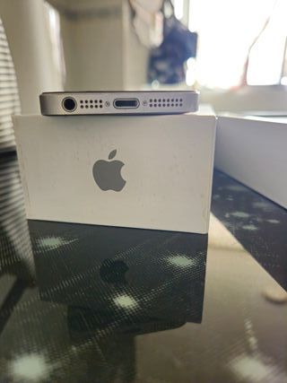 iPhone SE 1ª Gen Plata