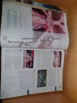 Final Fantasy XIII PS3 + Guía Oficial