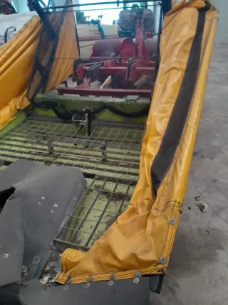 Recolector de olivas y almendras