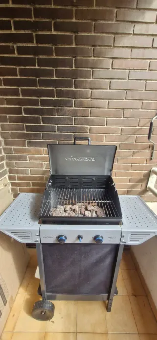 Barbacoa de gas Campingaz Xpert 100 L