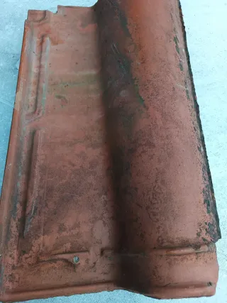 Teja mixta seminueva sin colocar