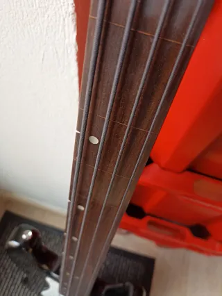 Bajo Eléctrico Fretless
