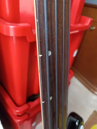 Bajo Eléctrico Fretless