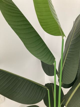 Planta Artificial Grande