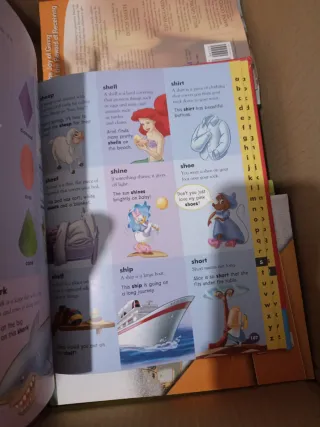 Picture Dictionary- Diccionario de inglés