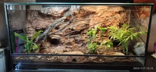 Terrario grande reptiles con fondo rocoso.