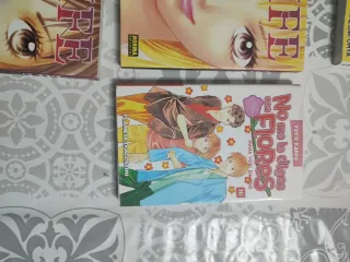 Lote Libros japoneses