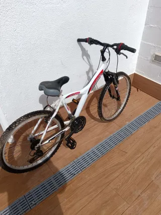 Bicicleta blanca mediana